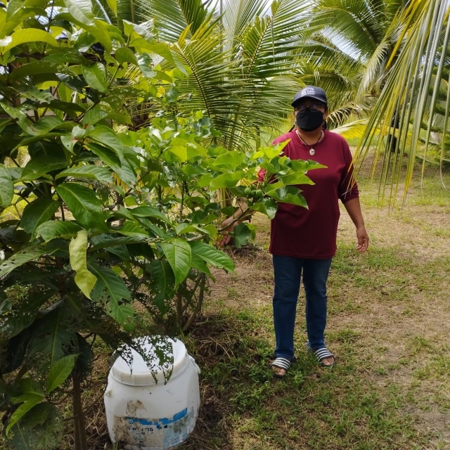 โครงการเพื่อการบริหารจัดการขยะภายในตำบลชลคราม ชุมชนปลอดขยะ (Zero Waste) บ้านครามล่าง (นำร่อง) กิจก